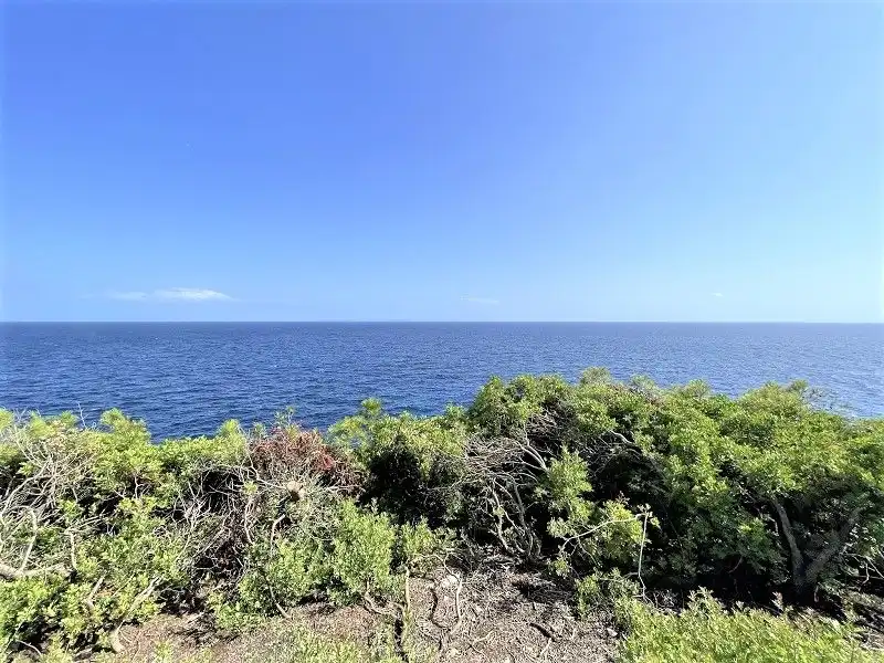 Terreny residencial en venda a Cala Pi - Vallgornera, imagen 3