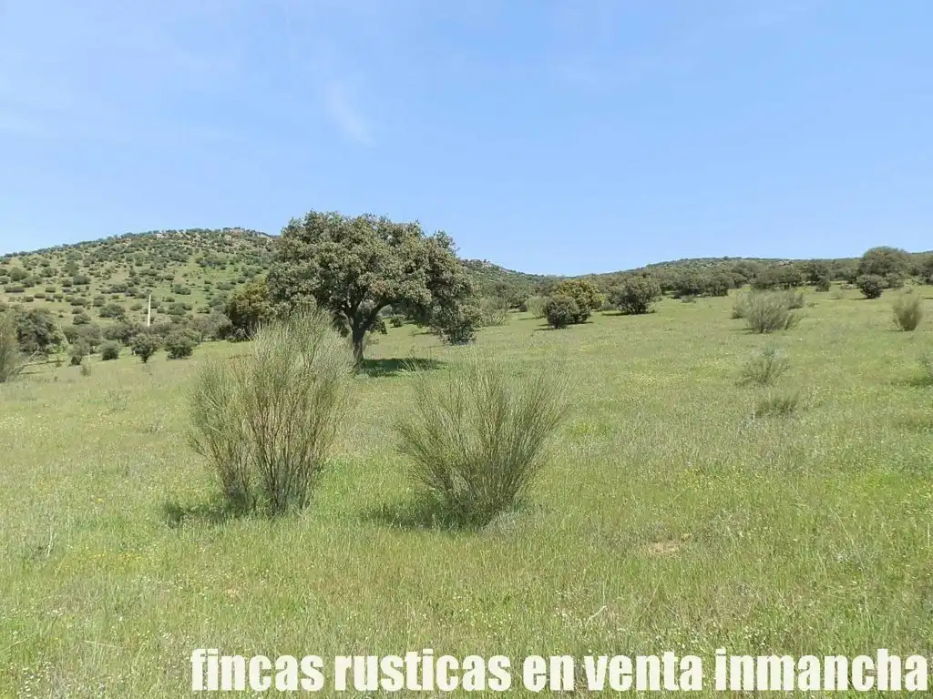 Rural land for sale in Calzada de Calatrava, imagen 14