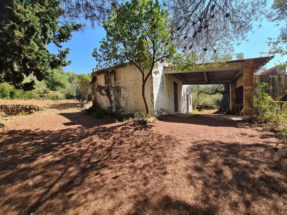 Terreno rustico in vendita a Freginals, imagen 11