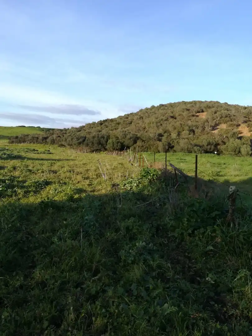 Terreny rústic en venda a Medina Sidonia, imagen 5