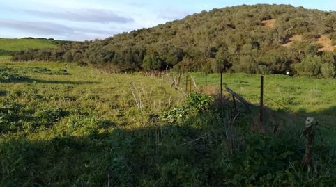 Parcela Rústica en Naveros a pie de carretera., imatge 5