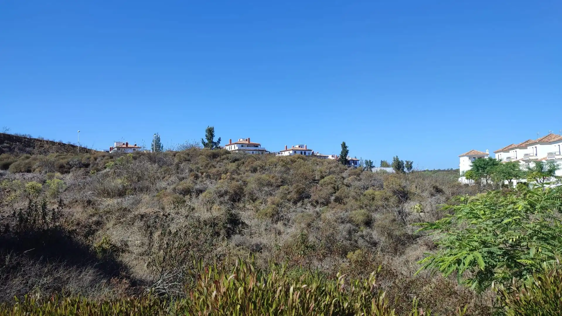 Lands and plots for sale in Av Rosalía de Castro, imagen 6