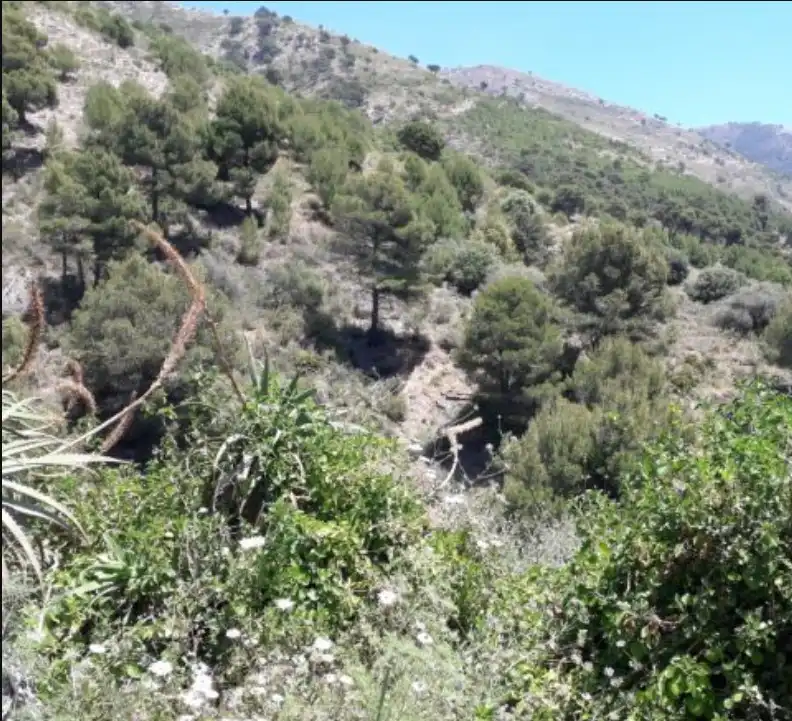 Terreni e lotti in vendita a C/ Alta Verde, imagen 6