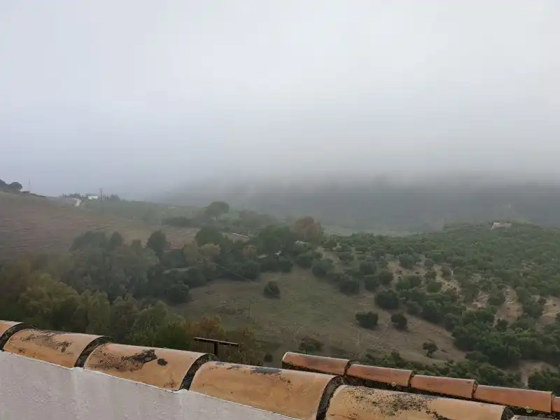 Garden of Houses for sale in Prado del Rey  with Terrace