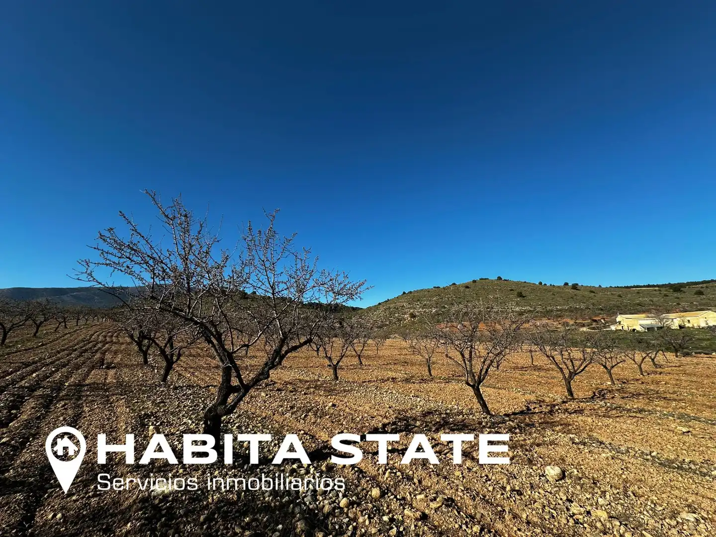 Exterior view of Land for sale in Baza