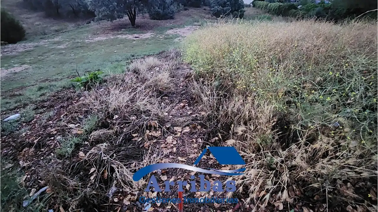Terreni e lotti in vendita a Escalona, imagen 13