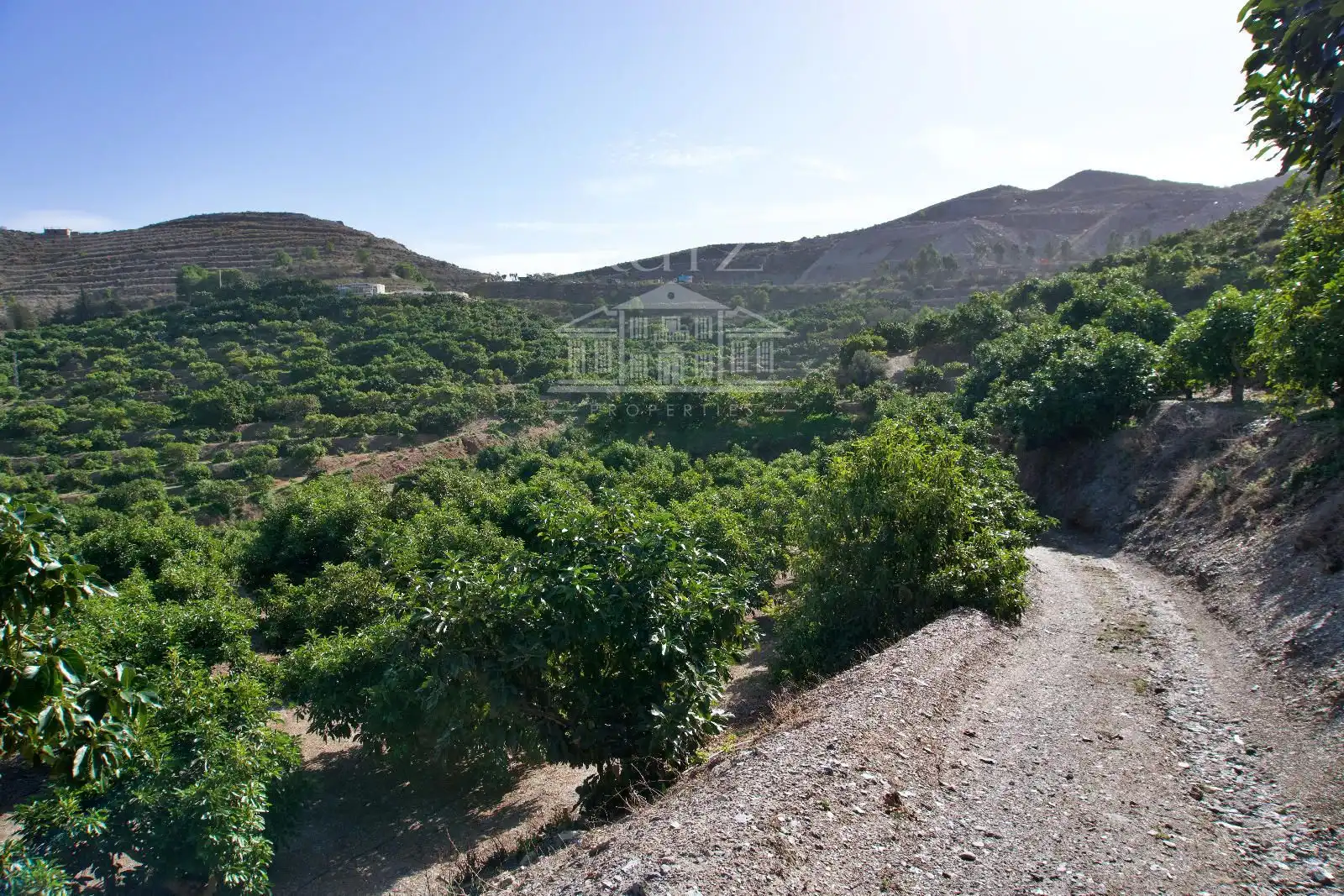 Terreni e lotti in vendita a Barranco del Inglés, imagen 50