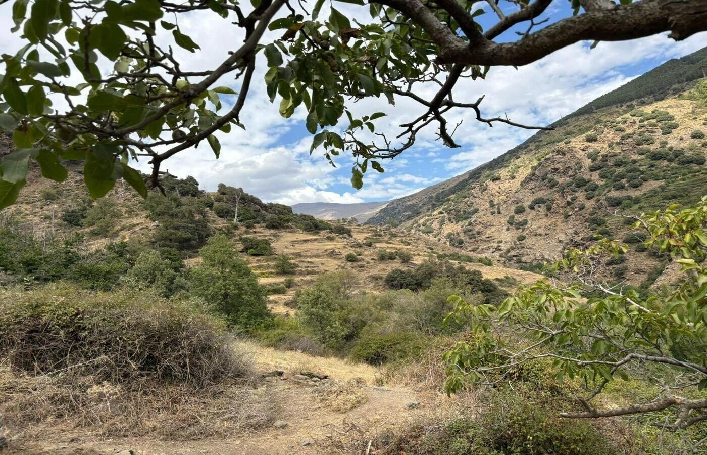 Exterior view of Country house for sale in Capileira  with Terrace