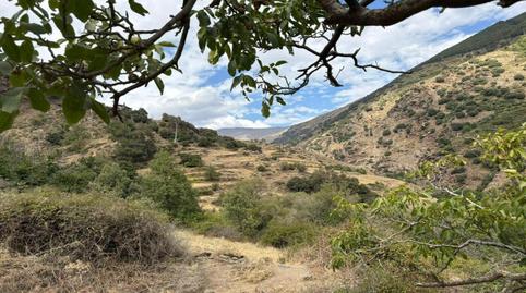 Foto 3 de Finca rústica en venda a Carretera Carril, Capileira, Granada