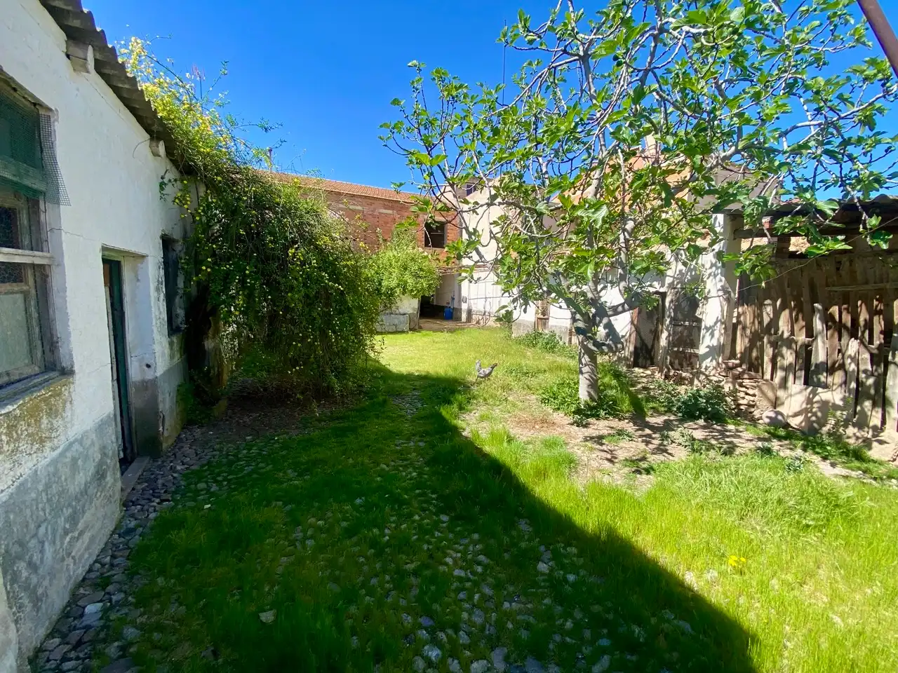 House with garden for sale in Calle Padre López, imagen 30