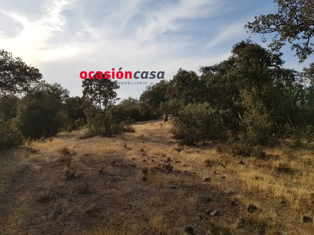 Finca rústica en venta en Espiel con Piscina y Amueblado
