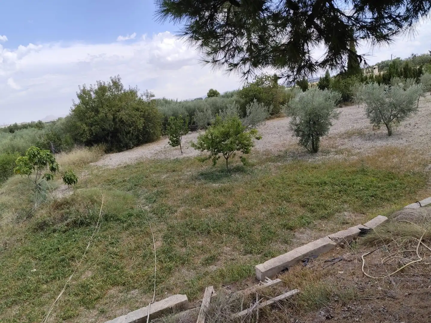 House with pool for sale in Moratalla, imagen 39