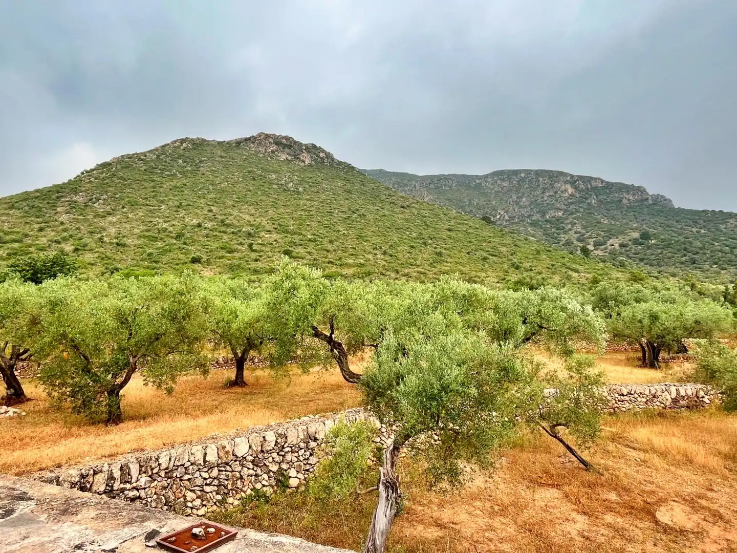 Villa avec jardin à vendre à Roquetes, imagen 31