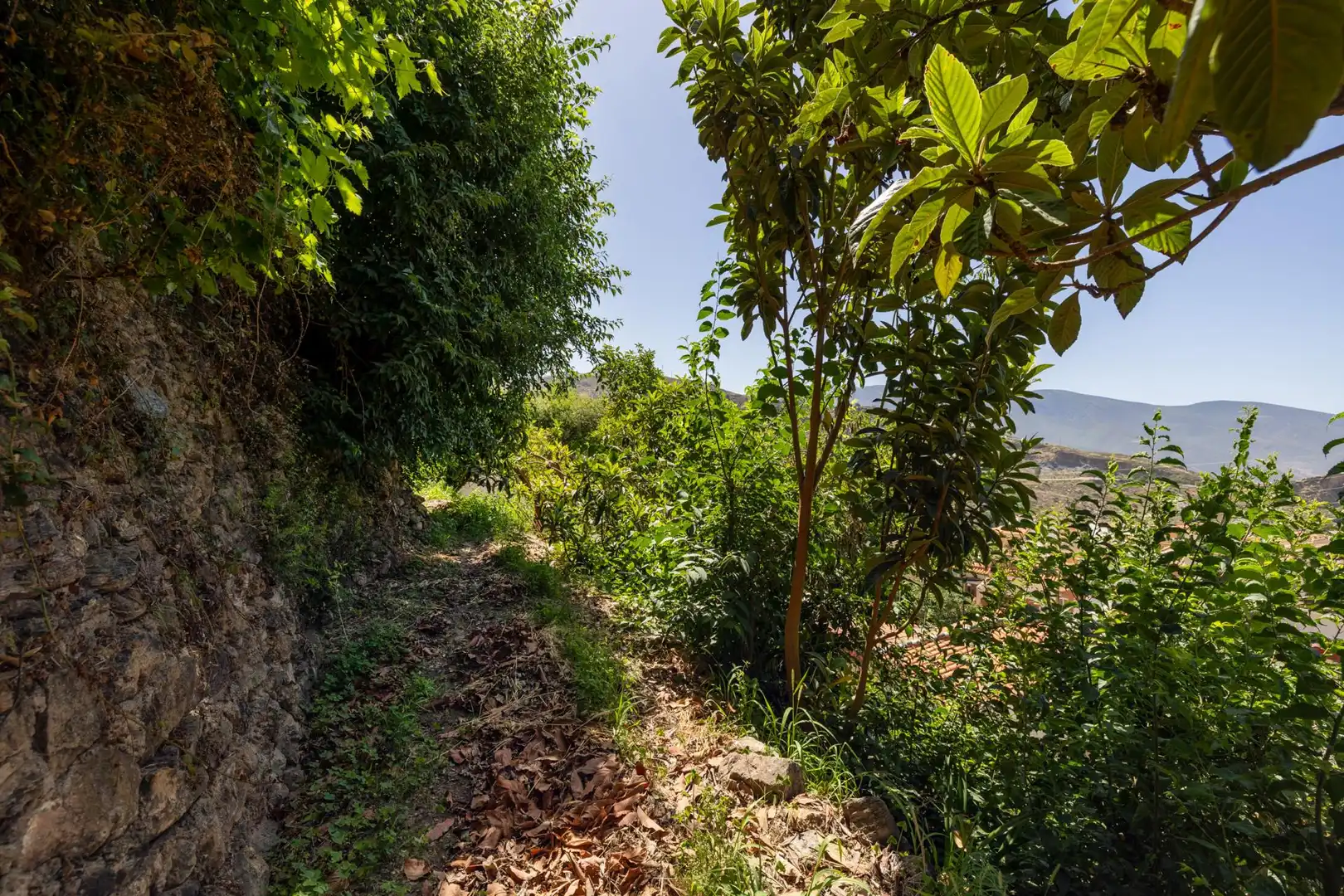 Country house zum Verkauf in Lanjarón mit Privatgarten und Terrasse