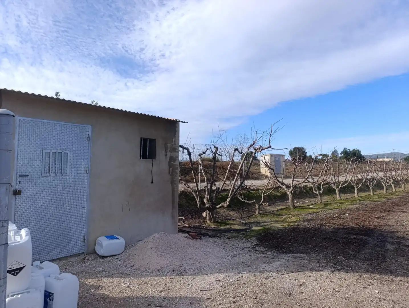 Terreny rústic en venda a Ceutí, imagen 4