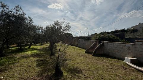 Photo 2 of Country house for sale in N/a, -1, Niebla, Huelva