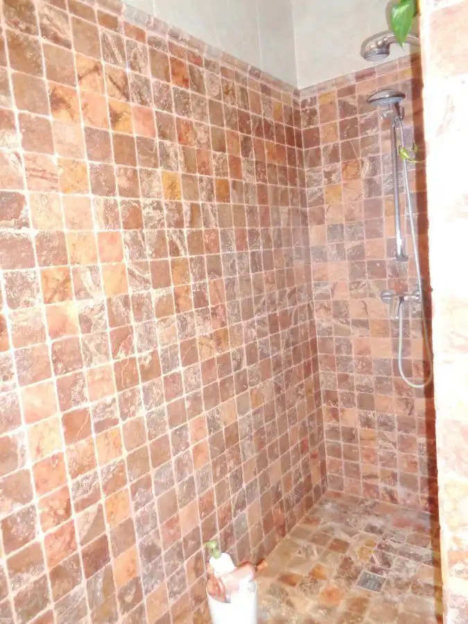 Bany de Finca rústica en venda en Santa Cruz de Mudela