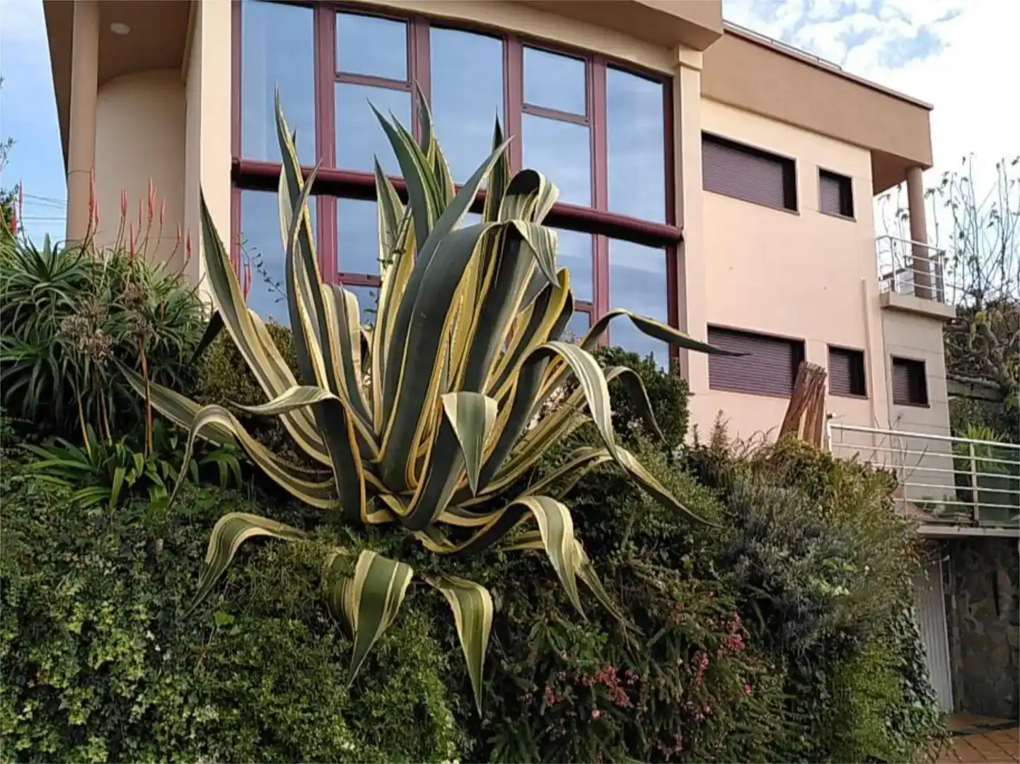 Jardí de Pis de lloguer en Vigo 