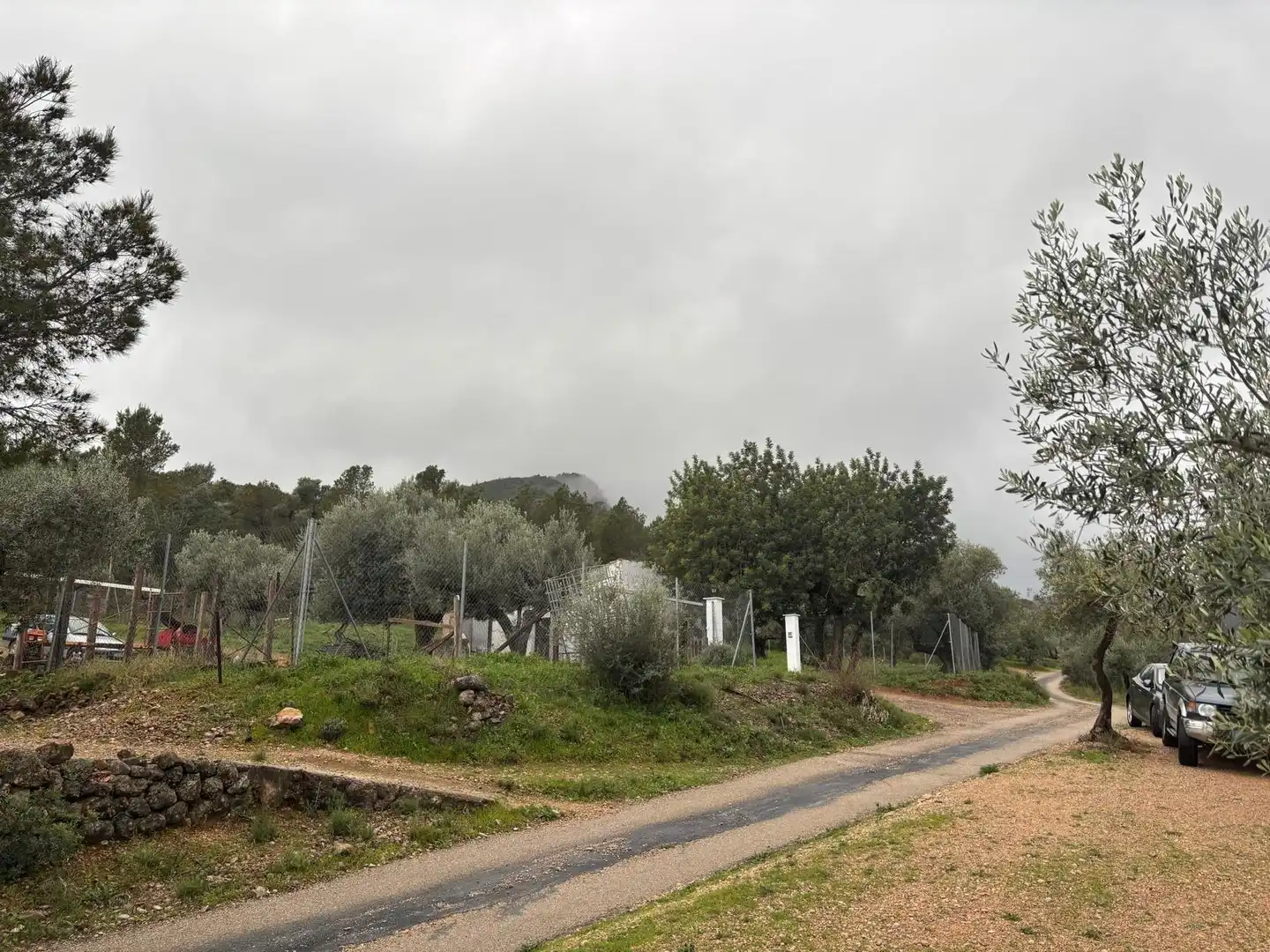Casa rústica en venta en Alfara de Carles, imagen 19