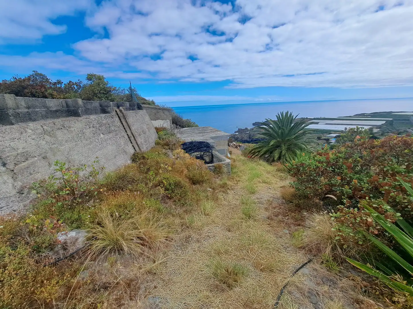 Land for sale in La Guancha