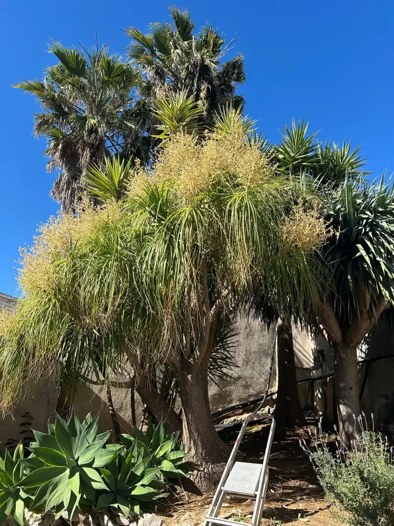 Villa zum Verkauf in Urbanizacion Santa Marta, imagen 90