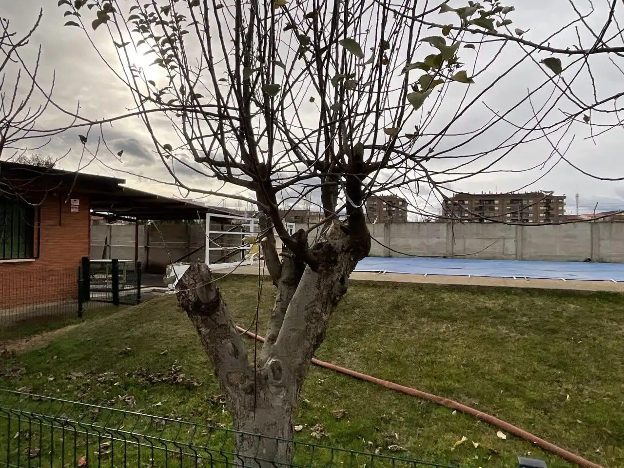 Terreni e lotti in vendita a Calle Cuatro Caminos, imagen 4