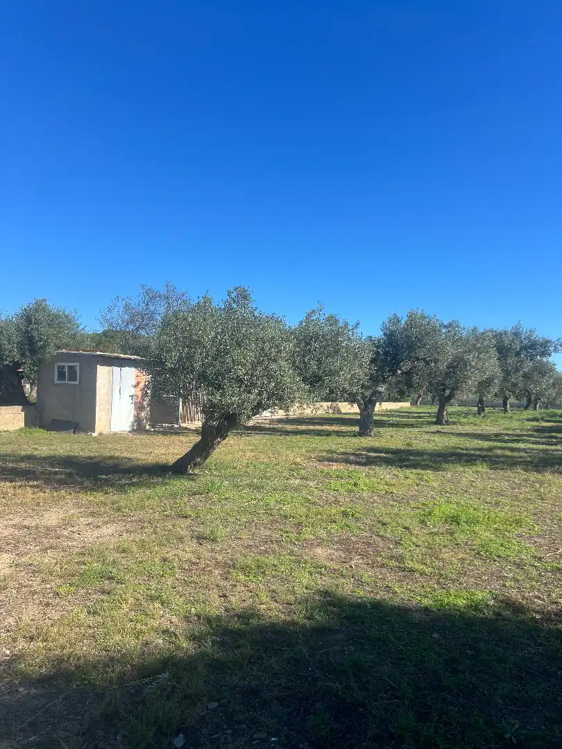 Finca rústica en venta en Botarell con Jardín privado, Trastero y Amueblado