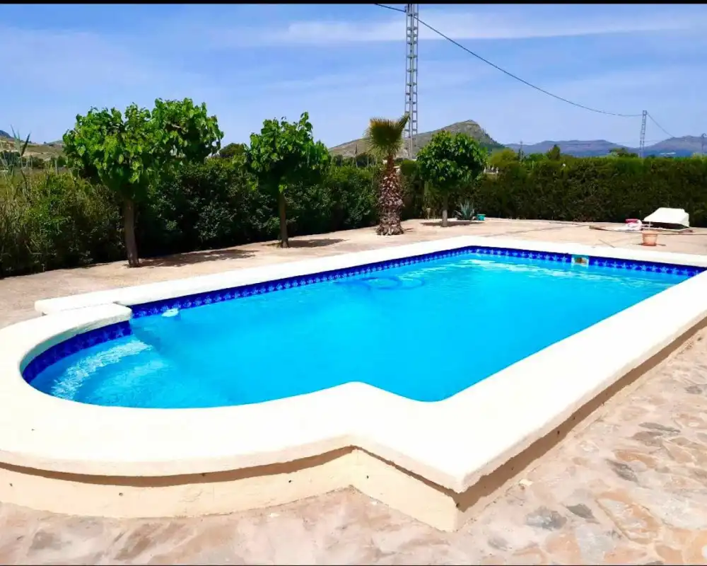 Swimming pool of Flat for sale in Villena