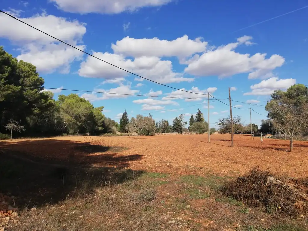 Terreno rustico in vendita a Algaida, imagen 8