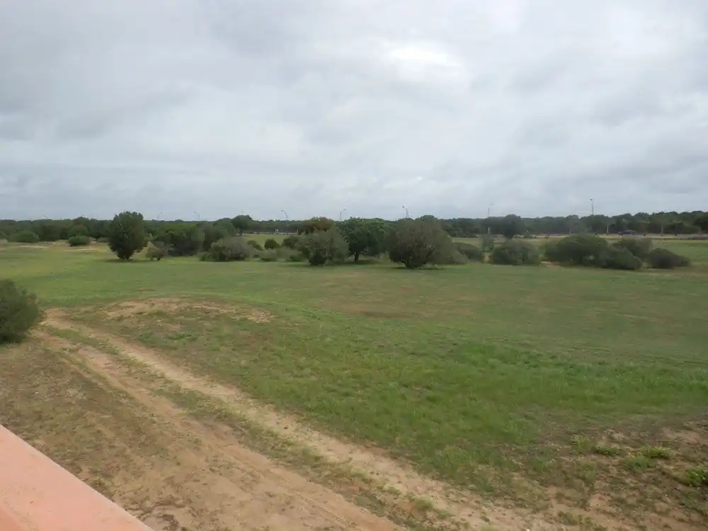 Chalet en venta en Matalascañas, imagen 23
