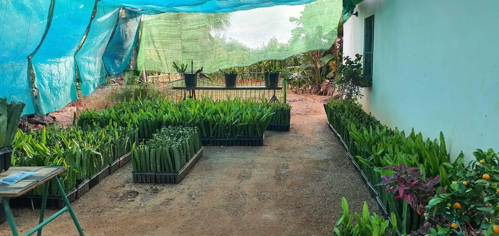 Jardí de Casa o xalet en venda en Guaro amb Aire condicionat, Jardí privat i Moblat