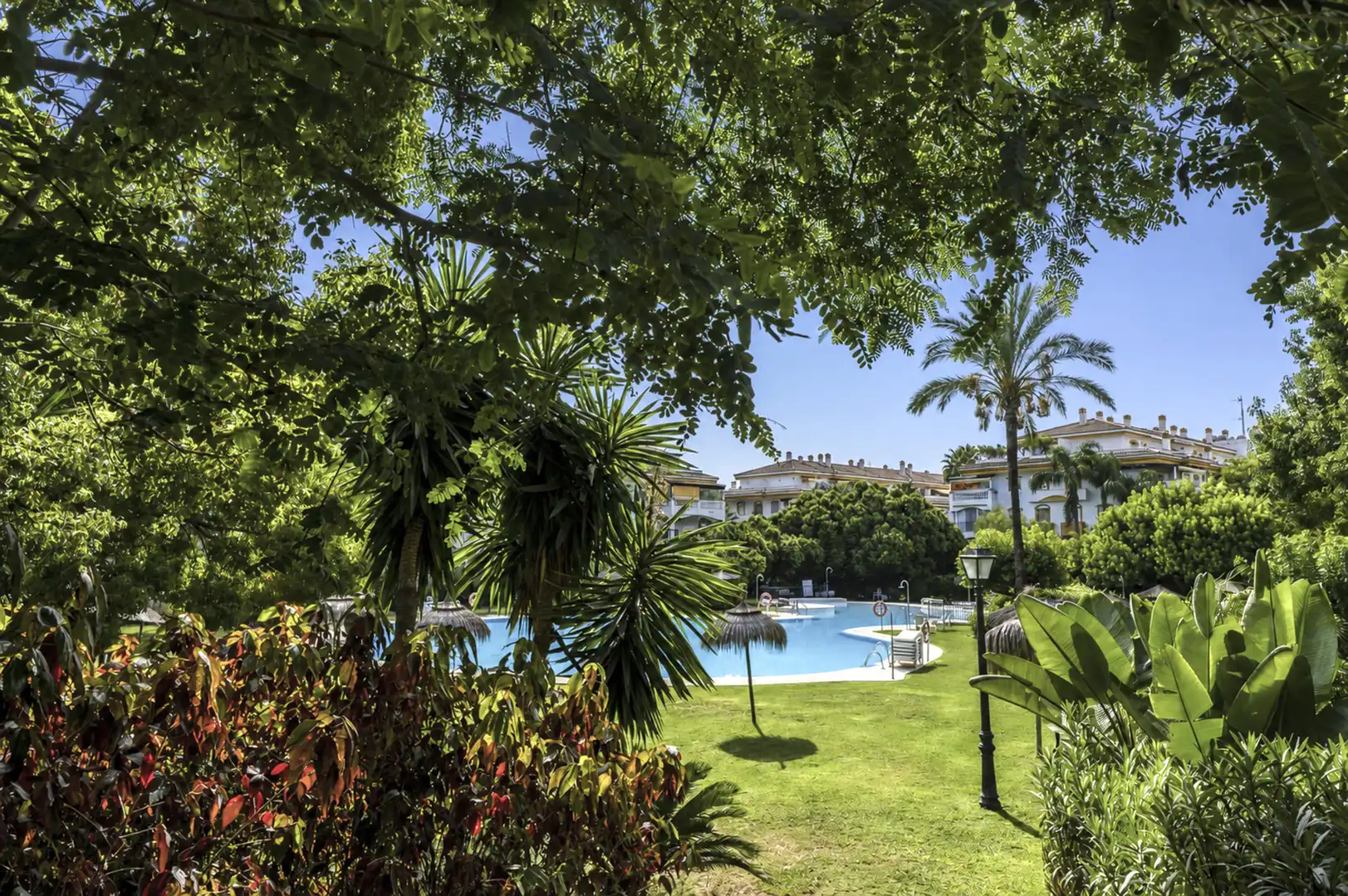 Garden of Apartments for rent in Marbella  with Terrace, Swimming Pool and Community pool