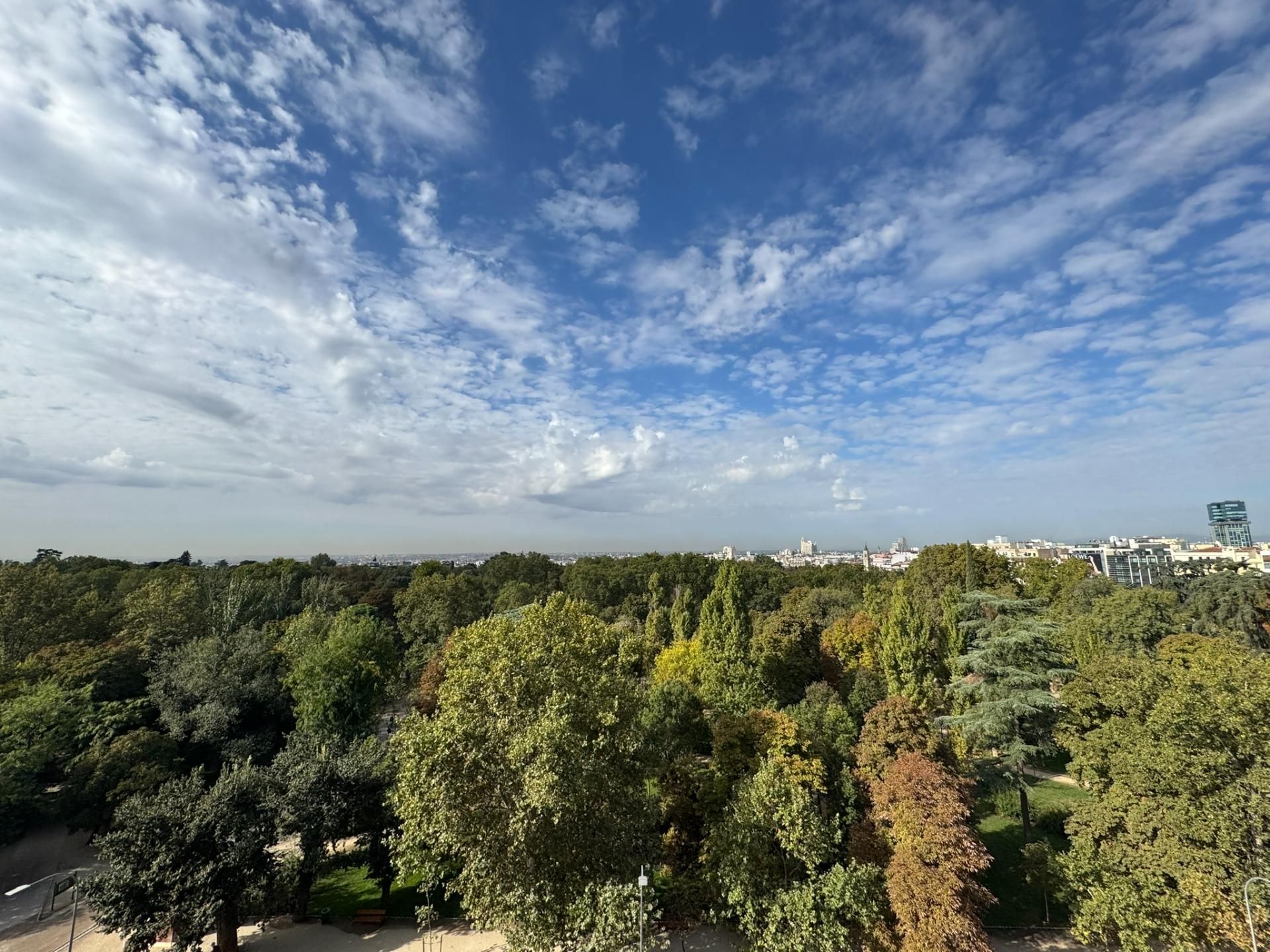 Jardí de Àtic de lloguer en  Madrid Capital amb Aire condicionat, Calefacció i Terrassa