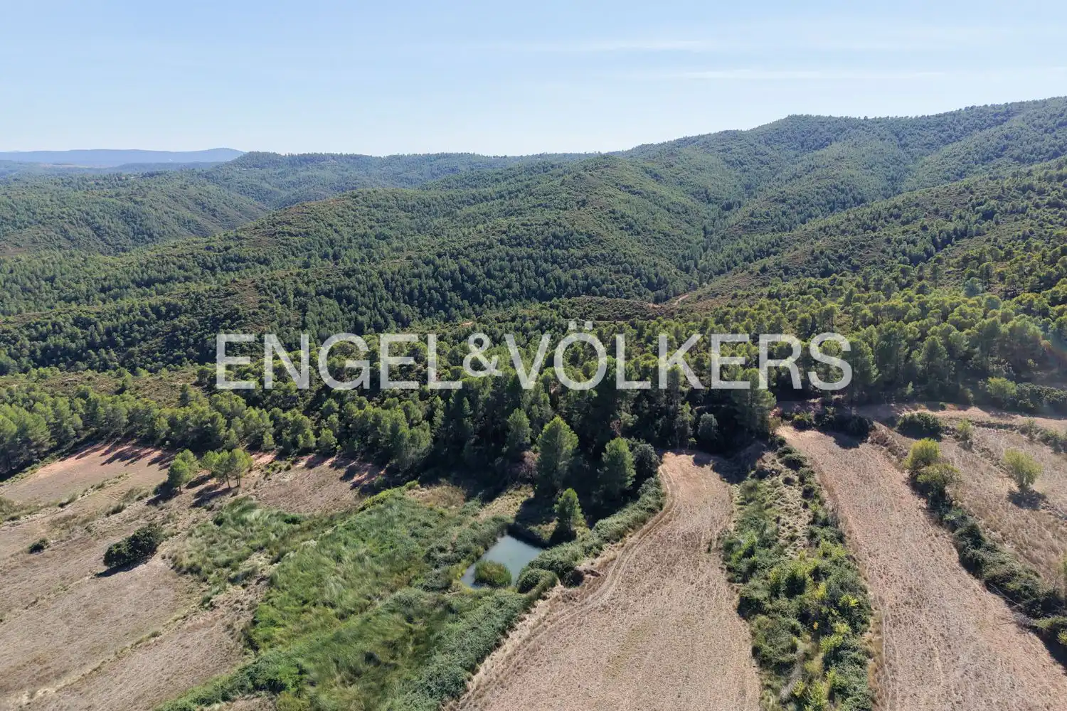 Terrain rustique à vendre à Requena, imagen 44