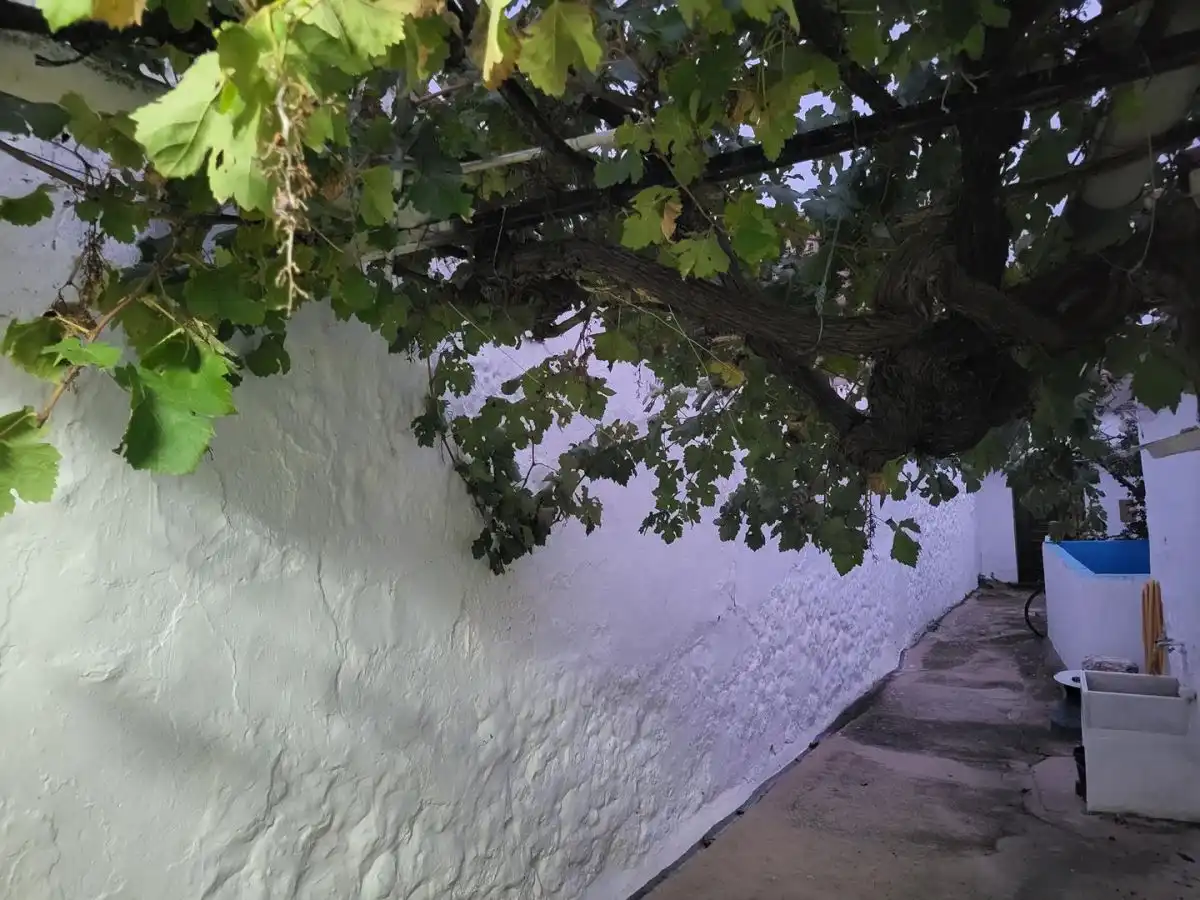 Vista exterior de Casa o xalet en venda en Sisante amb Piscina