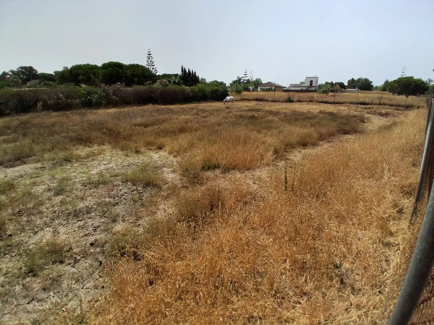 Residential land for sale in Pinar de la villa, imagen 8