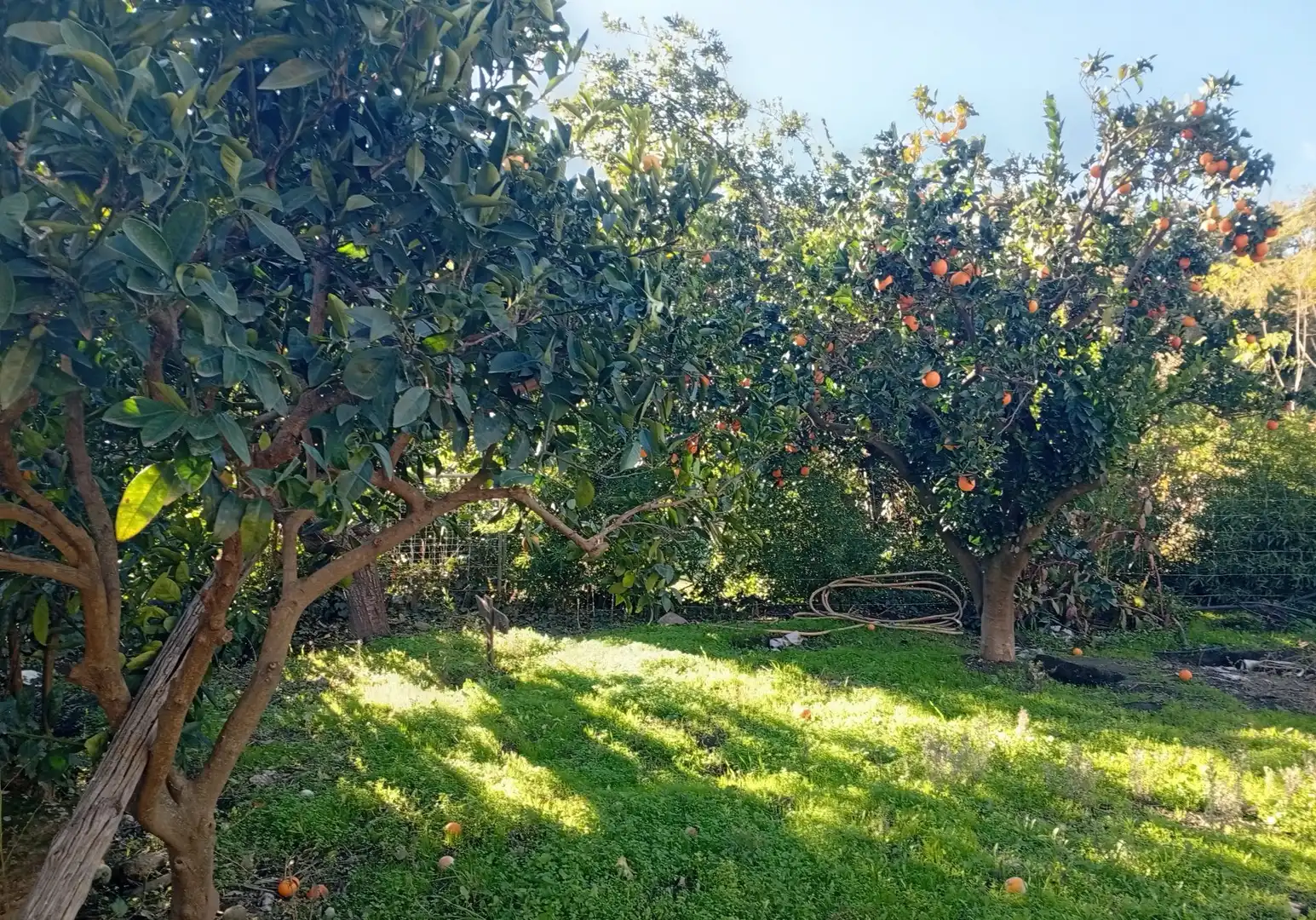 Terreni e lotti in vendita a Villanueva de la Vera, imagen 52