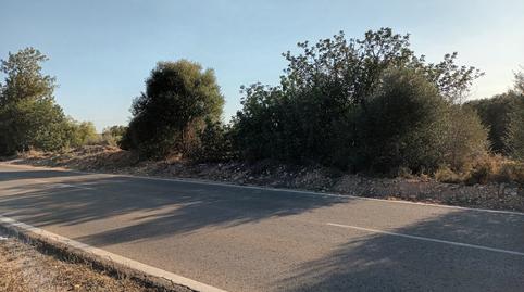 Photo 3 of Residential for sale in Gallipont Polígono 22 Parcela 8, -1, Gallipont, Valencia