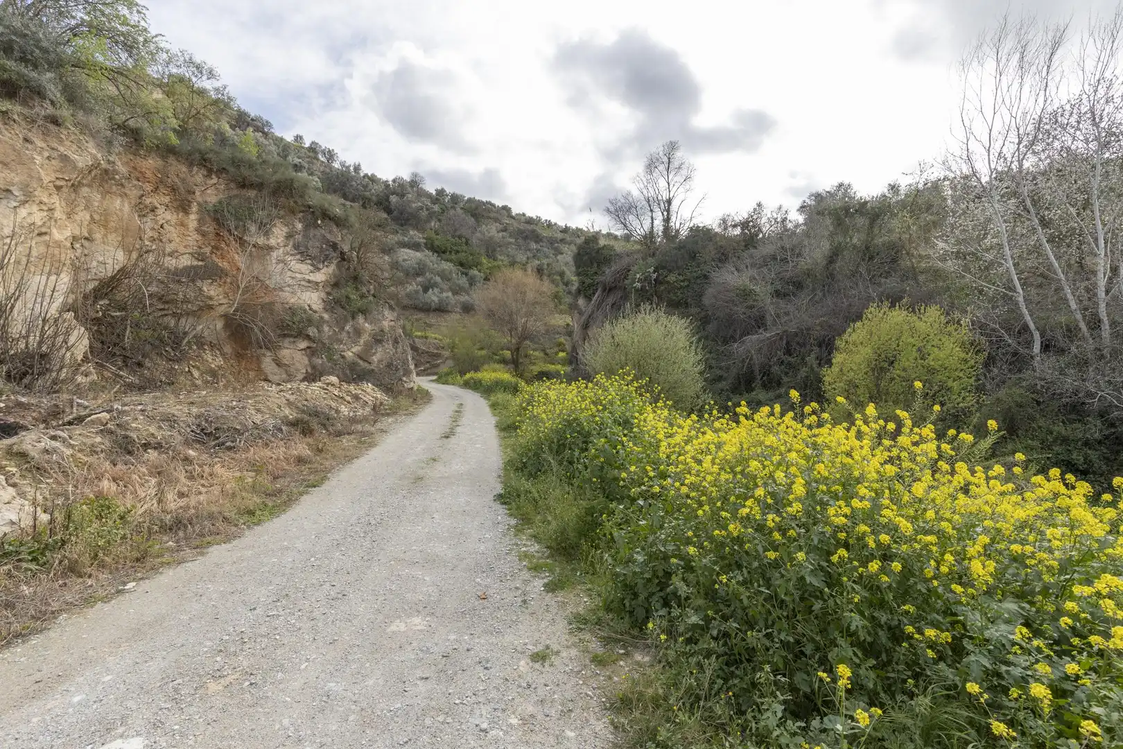 Finca rústica en venta en El Valle, Serón