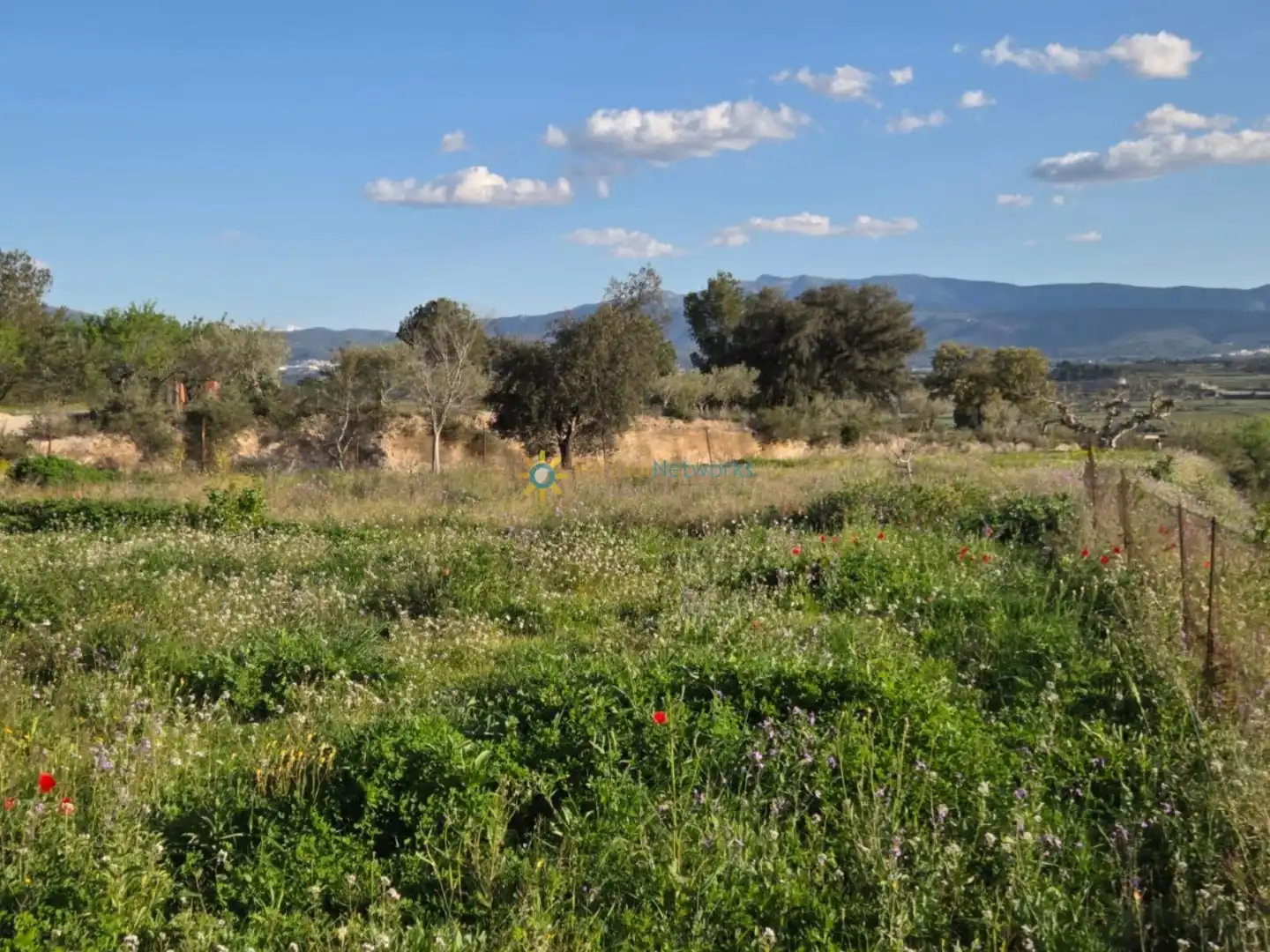 Terreno rustico in vendita a L'Olleria, imagen 5