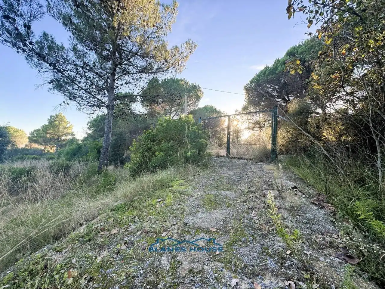 Finca rústica en venda en Tordera amb Jardí privat