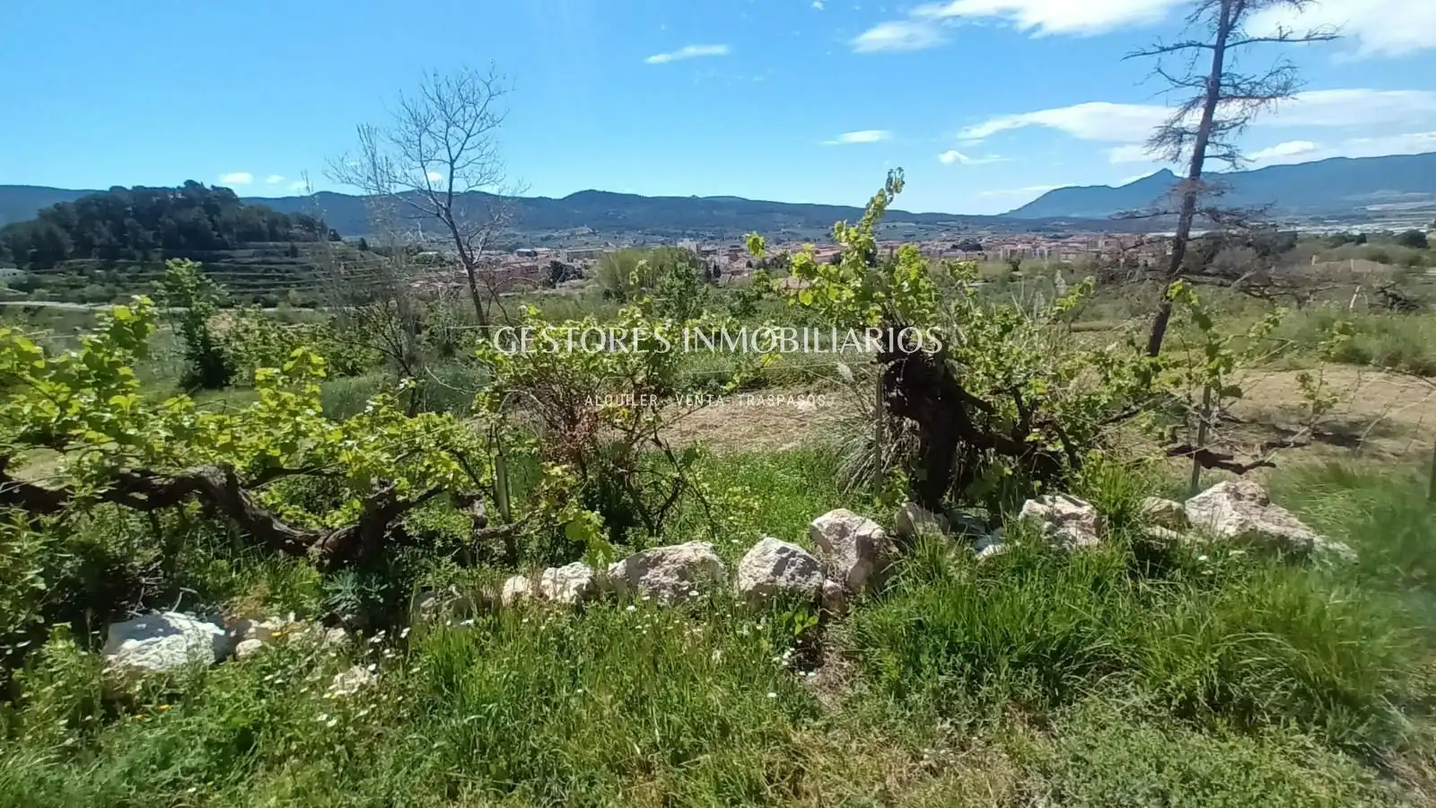 Casa o chalet en venta en Ibi con Piscina