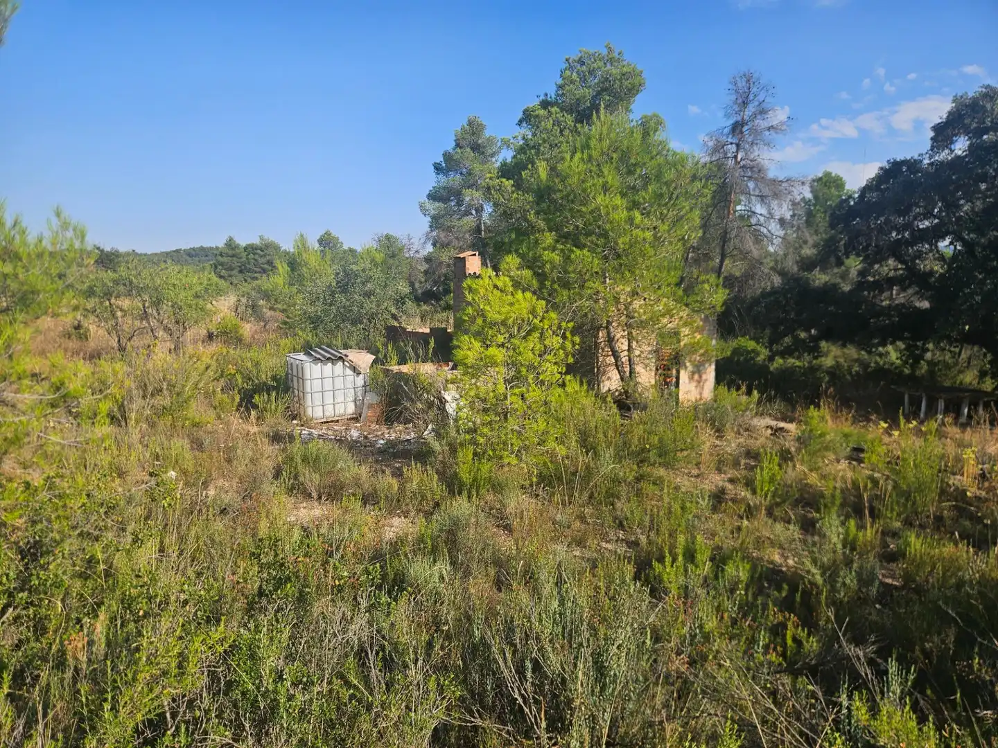 Land for sale in La Pobla de Cérvoles