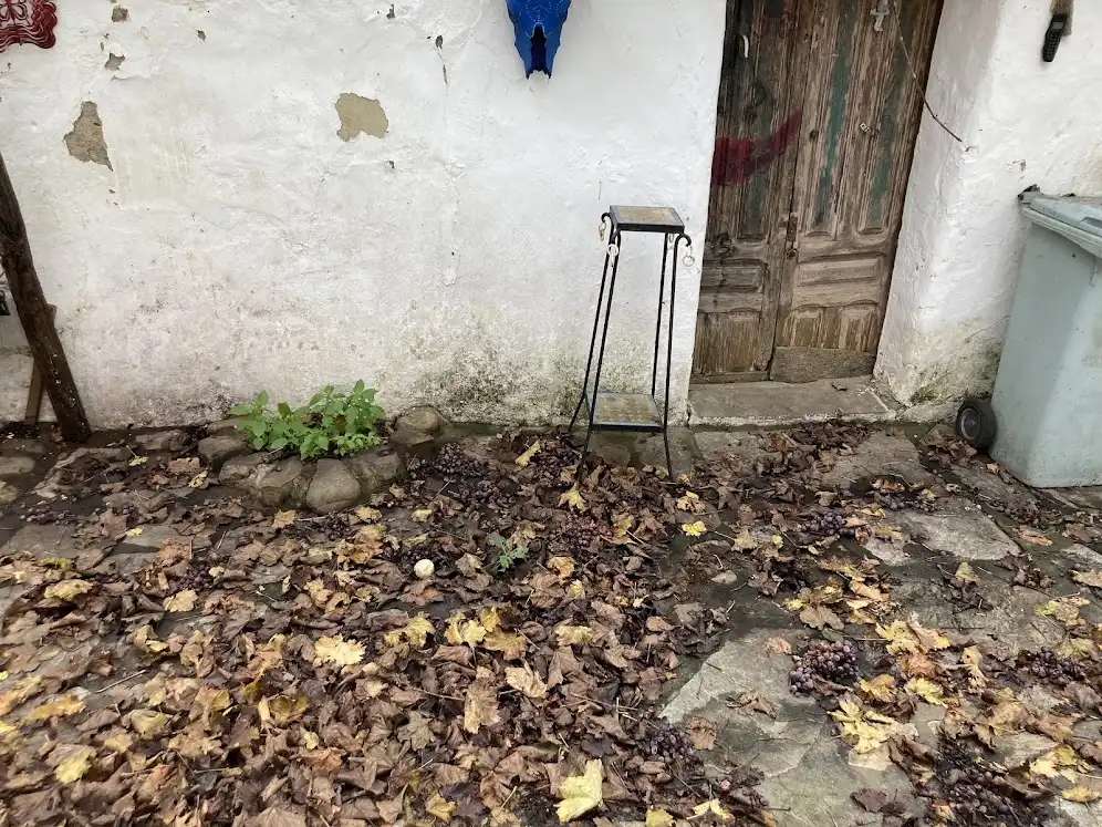 Terreni e lotti in vendita a Los Barrios, imagen 13