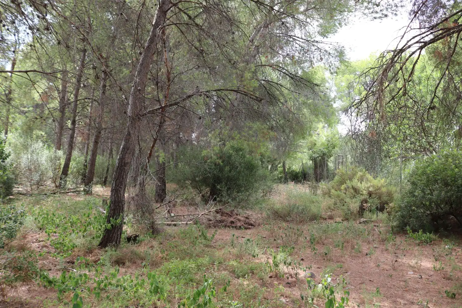 Houses for sale in Benicasim / Benicàssim  with Terrace and Storage room
