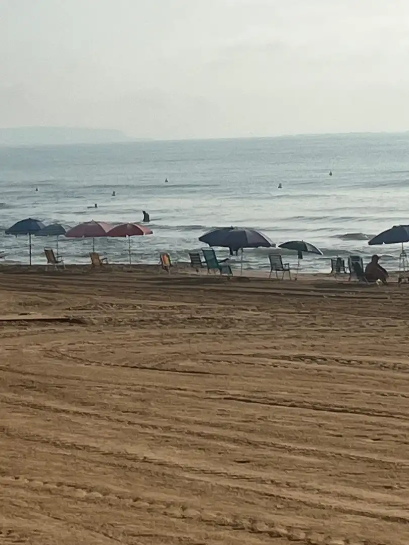 Vista exterior de Apartamento en venta en Guardamar del Segura con Terraza y Amueblado