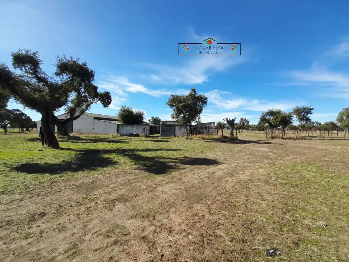 Finca rústica en venta en Carrascal del Obispo
