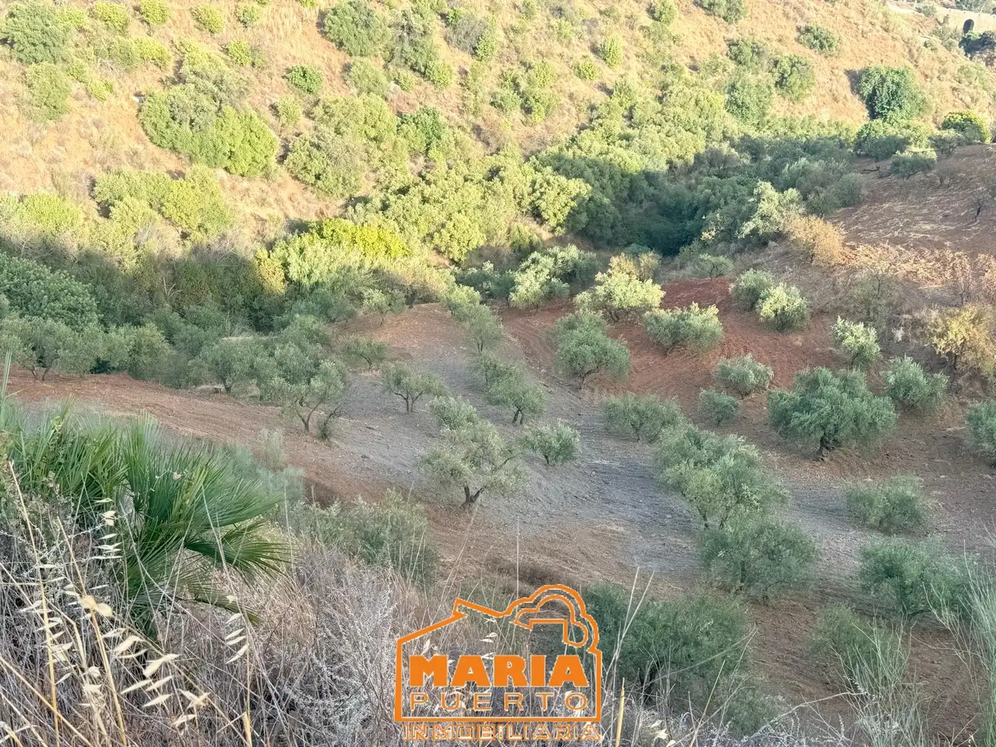 Terreno rustico in vendita a Almogía, imagen 7
