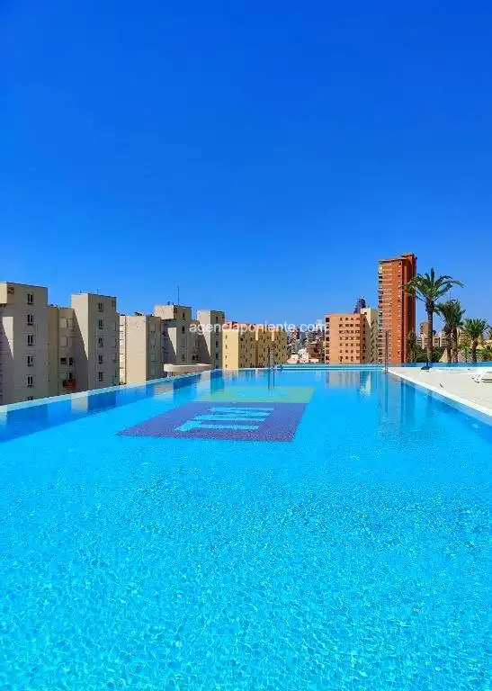 Piscina de Piso de alquiler en Benidorm con Aire acondicionado, Calefacción y Terraza