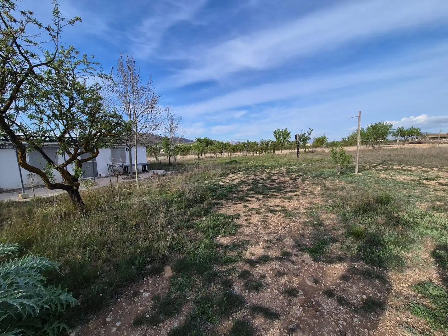 Casa o chalet en venta en Salinas